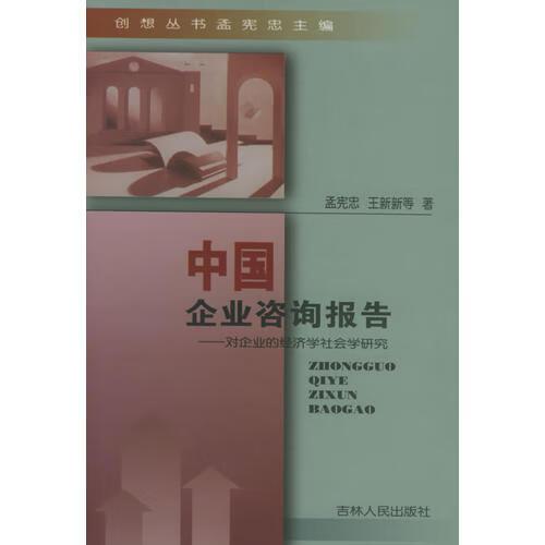 中国企业咨询报告:对企业的经济学社会学研究孟宪忠